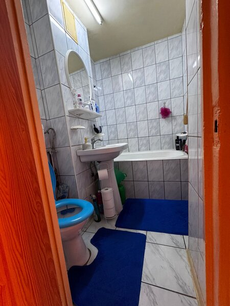 Obor, Colentina, Teiul Doamnei, langa sectia 7 politie.