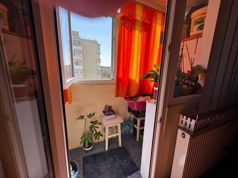 Obor, Colentina, Teiul Doamnei, langa sectia 7 politie.