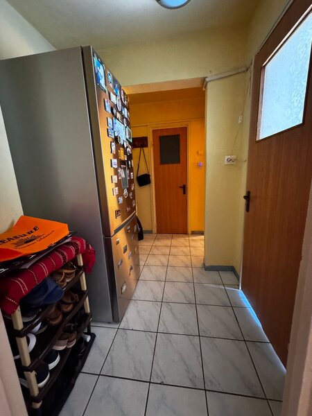 Obor, Colentina, Teiul Doamnei, langa sectia 7 politie.